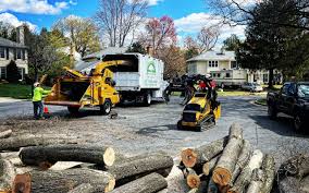 Best Tree Maintenance Programs  in Arta, CA